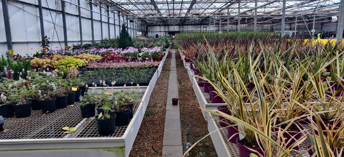 Inside Cuckoo Bridge Nursery