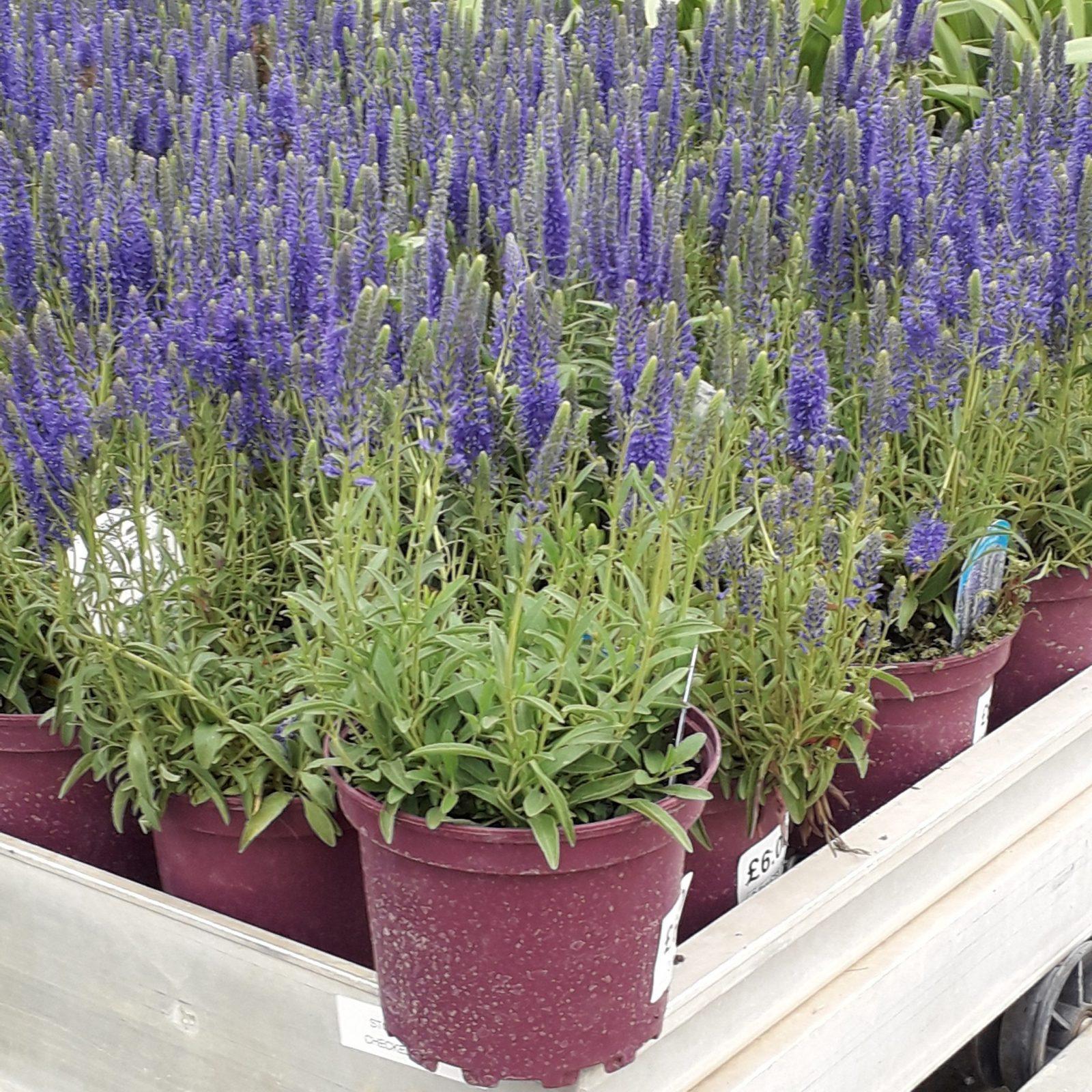 b586cc45-ea4c-4c50-90f8-b666498b6c9e