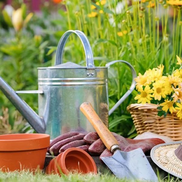 Garden Tools Archives ⋆ Cuckoo Bridge Nursery & Farm Shop