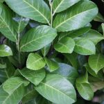 849155b8-2aea-4b75-bbc0-f07e88376db8