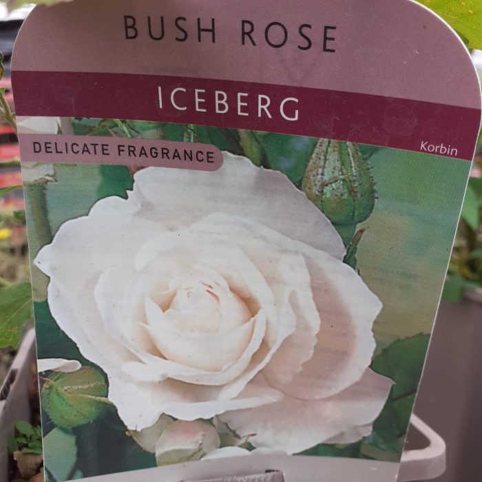 7c450c6b-8f46-4f9b-939a-289ee4461152