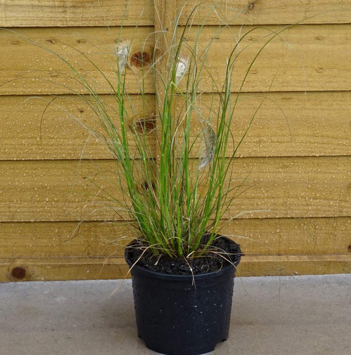 62f1db29-92f8-43aa-958b-86fe9e13d7e0