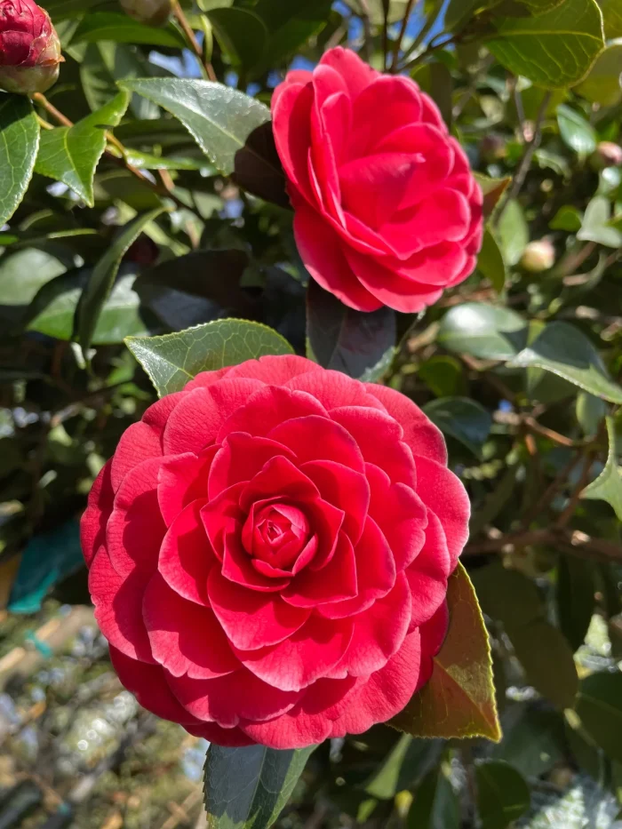 00aa33f3dd22962640308886ebc59043.webp f7d6d945-968e-4855-ac94-1722d6384b4c