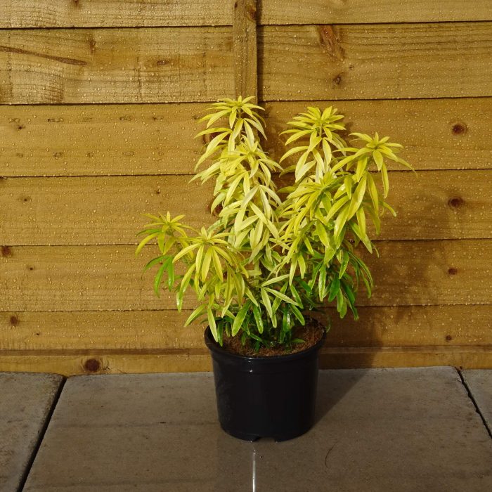 0126d9d4194c4c3cc132357fa9307983.jpg c50003ae-a1d7-4727-b68b-06b6d3ea48c8