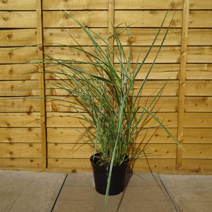 ead48a6b-4b6c-4d29-84d7-09f08e4fc341