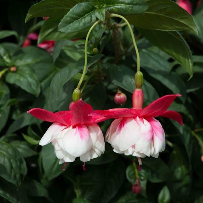 bbd2c2e9-955c-4236-a1b2-29dd4fb7546a