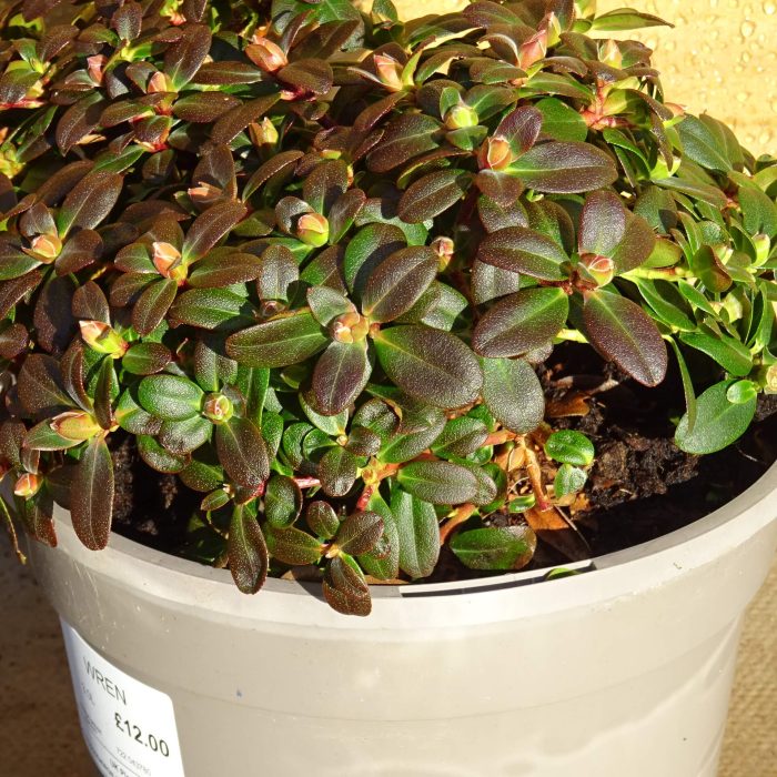 58b6c719-c44f-47c4-9fe7-599392ac370b