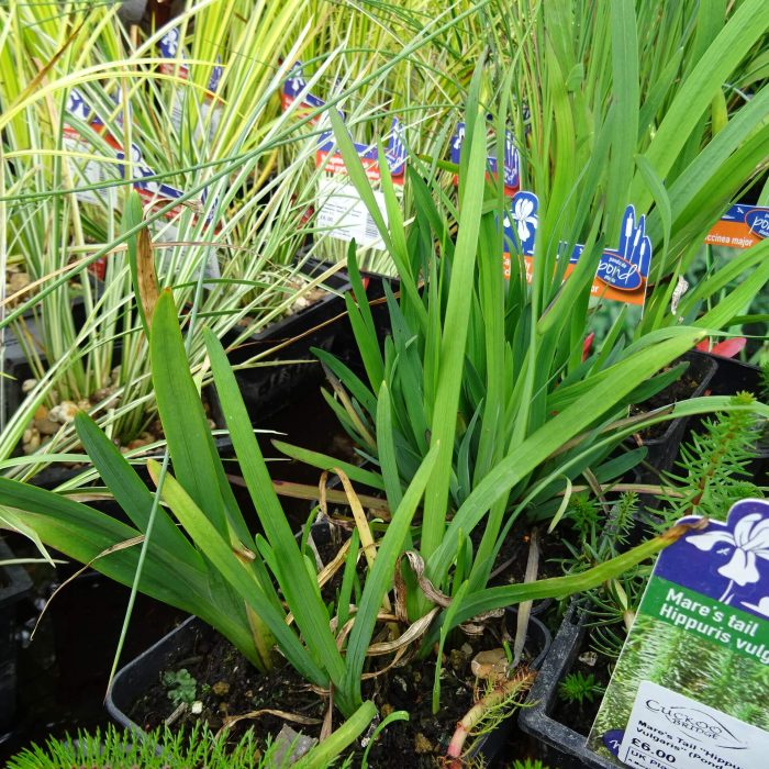 451f19d0-1bdf-40c3-90bc-e2ba7e6e0a18