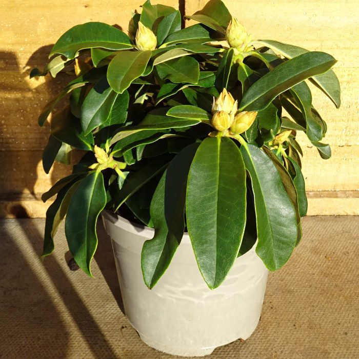 03017bd17706c77e3d9f33037f3ff567.jpg ed1135b6-555f-4cc8-8643-08c223998072