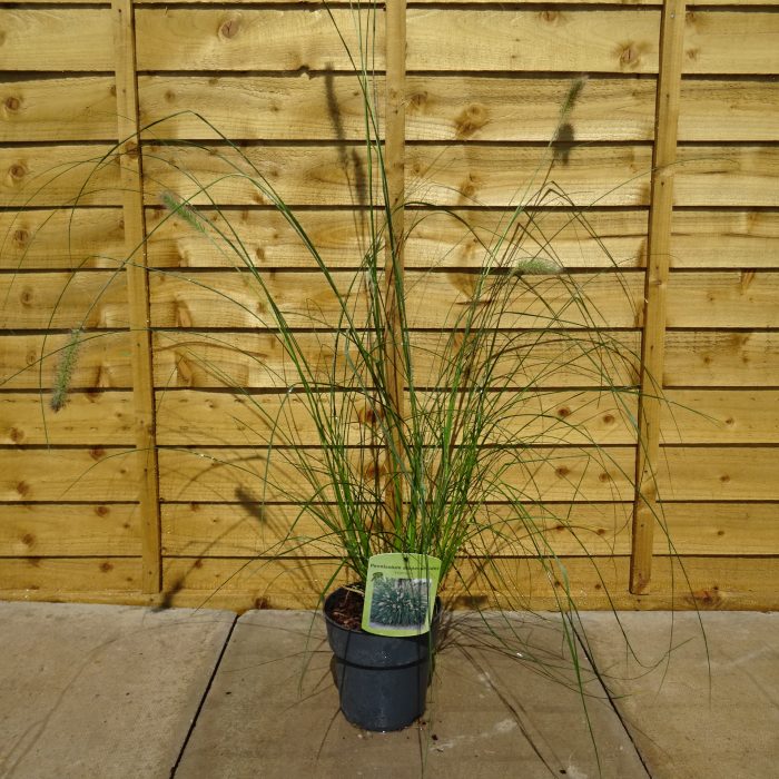 9dc47938-ffc6-4f98-b938-a3c8aecc1805