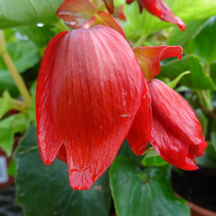 e5d7bcc7-2583-4477-b081-adcafdee357b