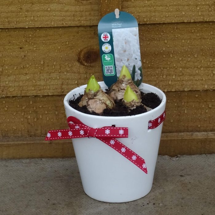 c55add88-9ae5-41a3-beed-7e7c81f5f316