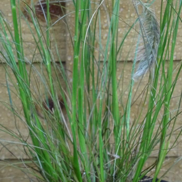 c2bb1987-b439-4cb4-adc1-8722a0812dab