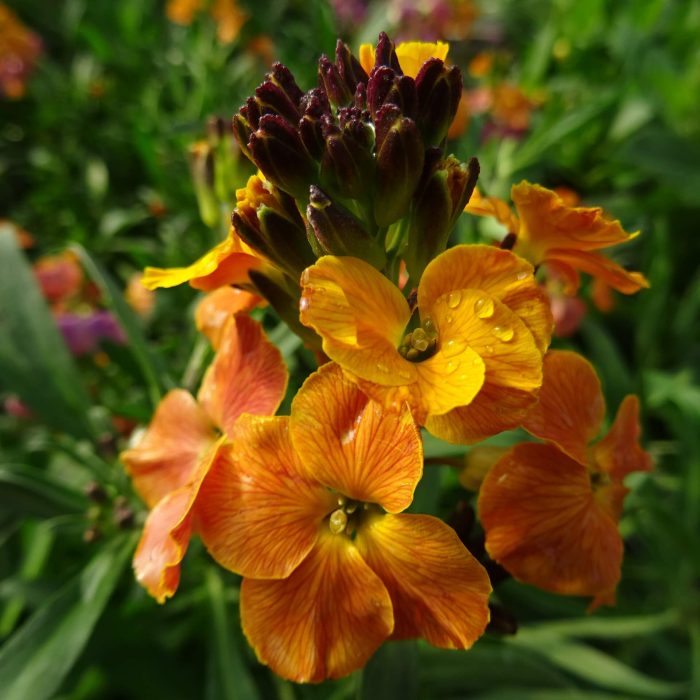 a0a55add-7304-4251-82d6-3e5f7a1b5e27