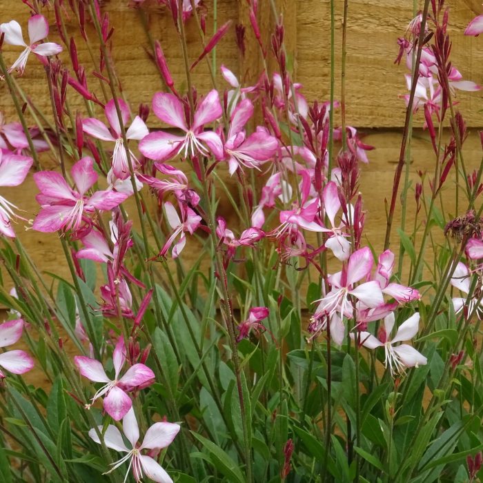 06c9f8e7d9216dd70b86a54dfc33fc30.jpg cc00e646-370c-45d6-8312-7d16396fc867