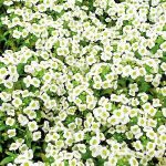 20ab9895-3c3d-468c-bcdd-aa5e2a481dd1