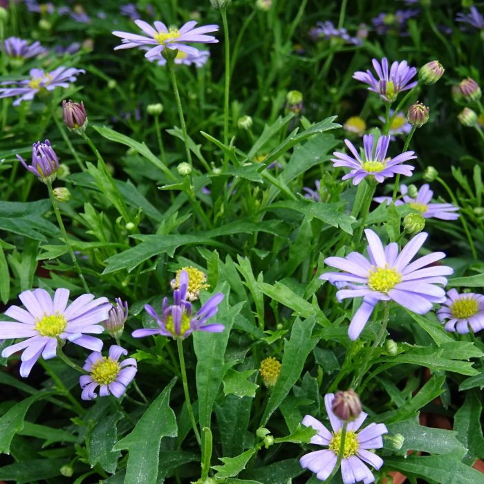 0748dc60324ff74fa0a24699ec320cc9.jpg 47a346a2-3603-433c-af6f-0a163b20a961