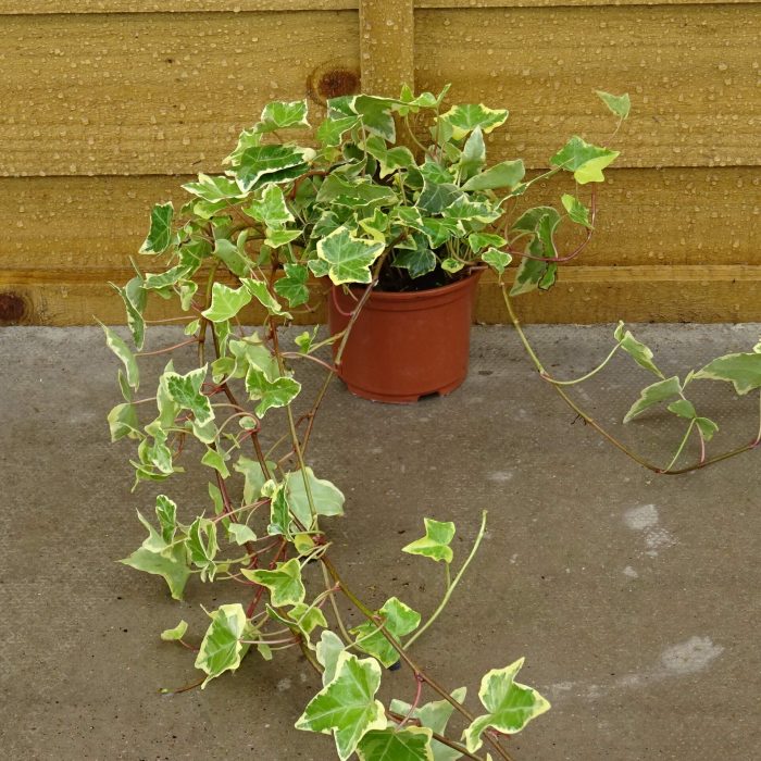 6ef89197-e1b0-481b-93bc-bedf865ea0eb