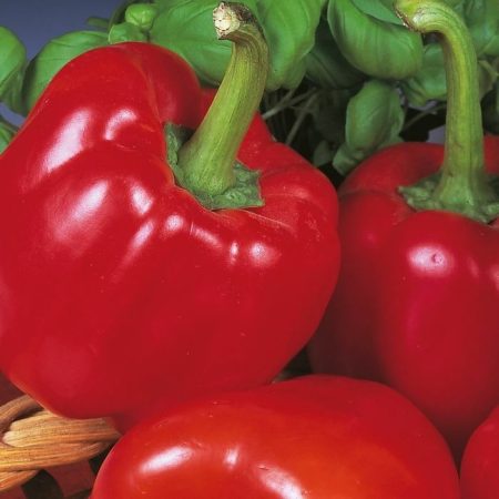 10cd6697-d55f-4b0a-bfde-ad385f7b998b