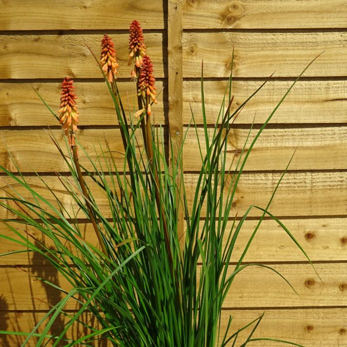 912a5f05-5f95-444b-85f5-669d7571a6b6