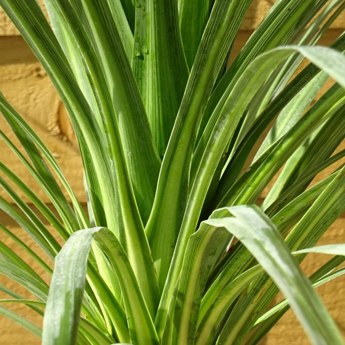 ac6ba569-8298-4ff8-a54e-dfca889ba905