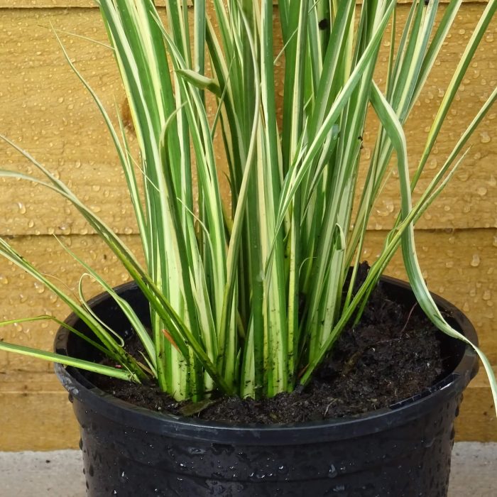 99878cee-0d6f-467f-9aa7-25b6f23e573b