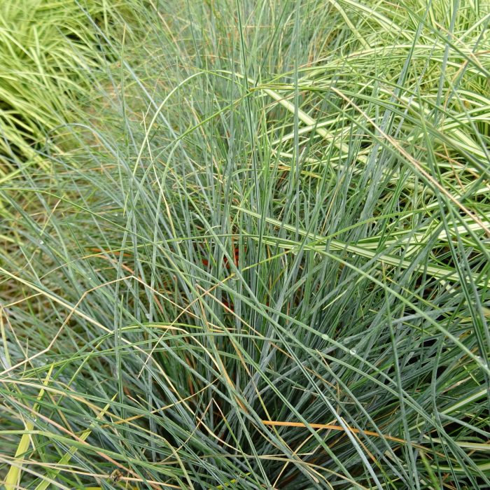 63892774-7245-4a2e-9b8e-b533d1360e47