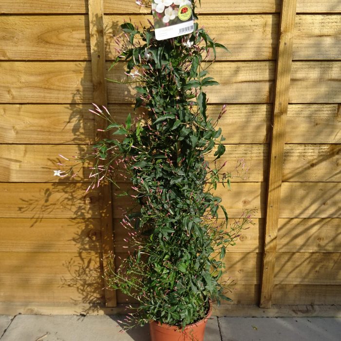 6423367b-4149-4fcc-954e-f9231869fc9a