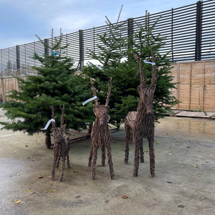 e825a26e-cb91-4d58-b9bf-7d446c08dc40