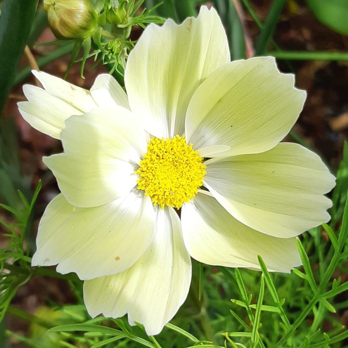 b65b54ab-78c5-4f39-91f2-741476e30799