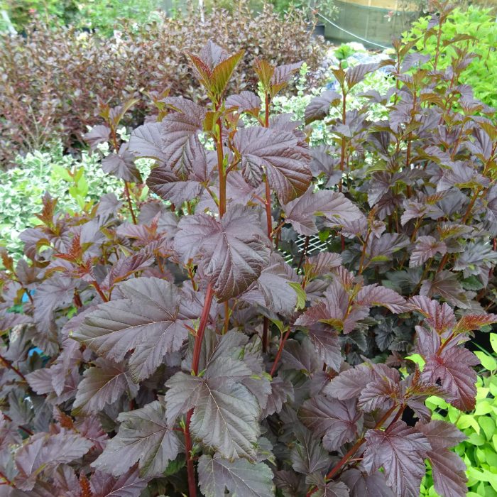 b1506ea4-0220-4ddc-993b-303732e24791