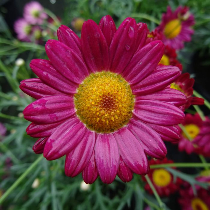 0a7e4004bffa9ff060a94b2b354eea5c.jpg 6464cd4e-a7ab-40e9-80c0-16fae68f9bd9