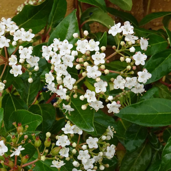 d3a3a790-9033-4235-84e3-10d81f37a0cb