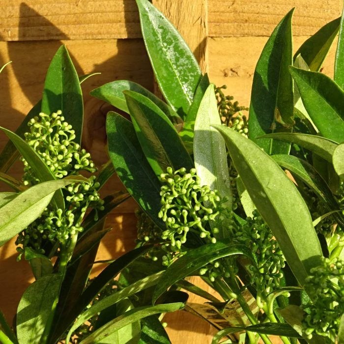 858c7f29-5da1-400e-981f-00cd75d1c7ad