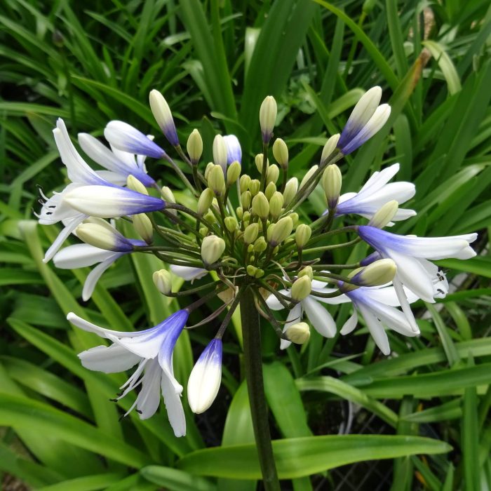 0e2e5510-8a7e-440b-b09e-4dba72ef856c