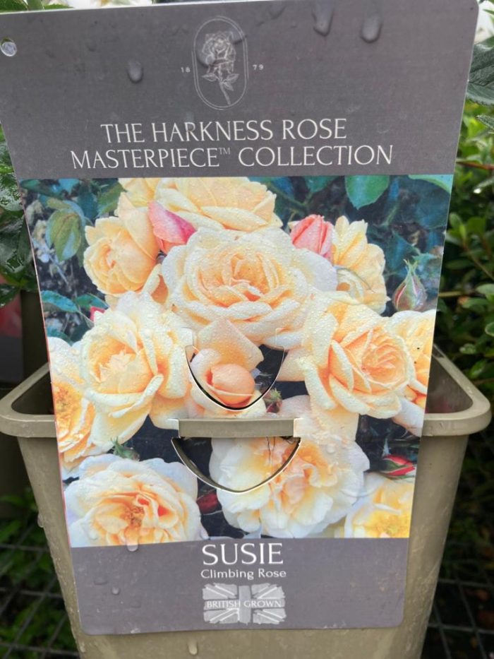 cc85ac13-88ea-48a1-88d6-bcc0fe87d807