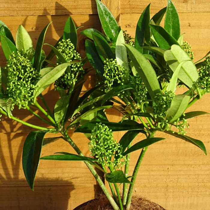 f2167182-e426-443d-a932-5aab29fa6fa9