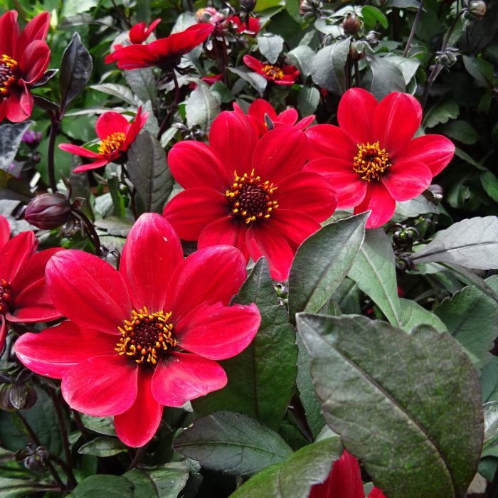 82dc9cc3-ce2c-4c3b-ad36-637f92e9fb01