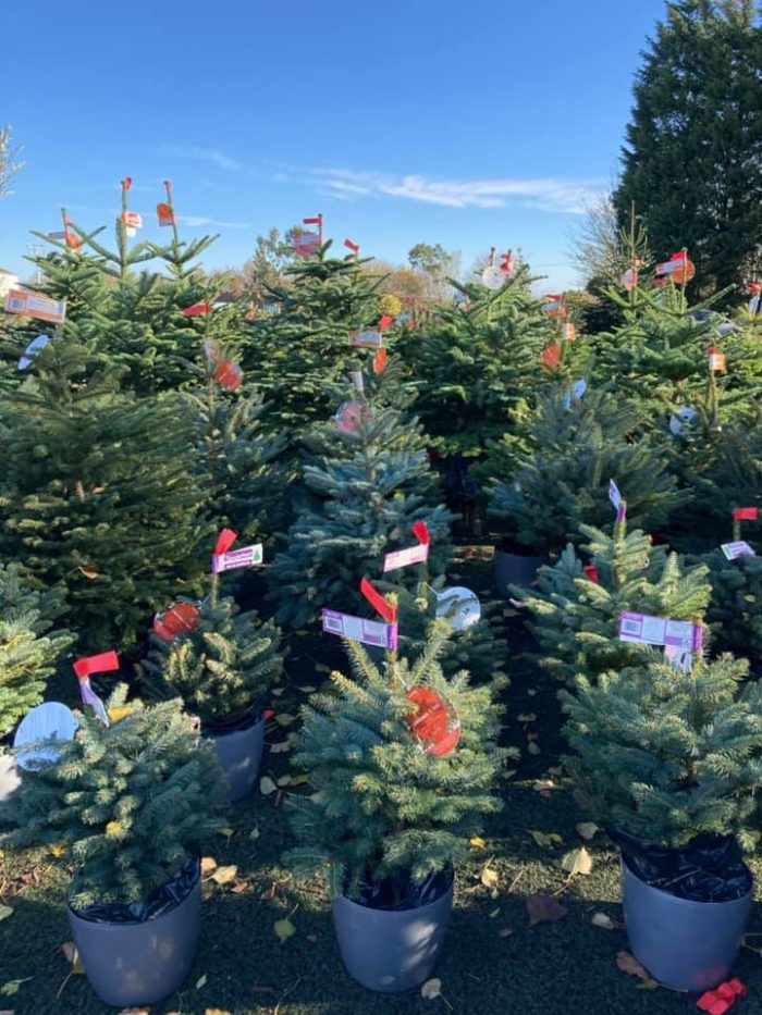 0c450ab0521e025caea710c3c3cc48d0.jpg 1d44aefd-37d9-4cc2-8012-3bdeb2c9b393