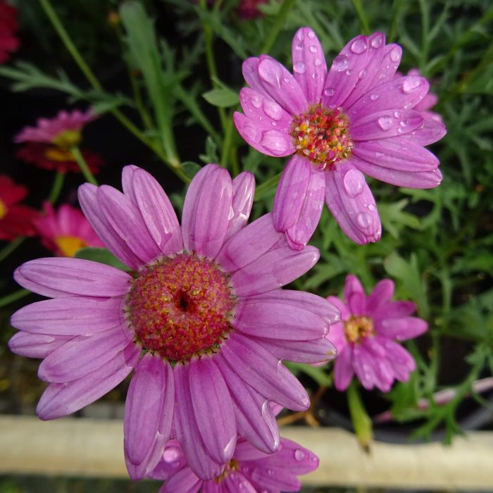 9bb9c59c-3d2b-42fd-baeb-9b008c97bdfd