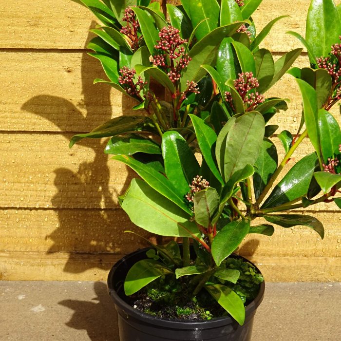 0d0ad360f0aa6a4d3b7b8fe09e78ef30.jpg 4253ae2b-ebd7-41a9-96d6-07ac1e2c8bc3