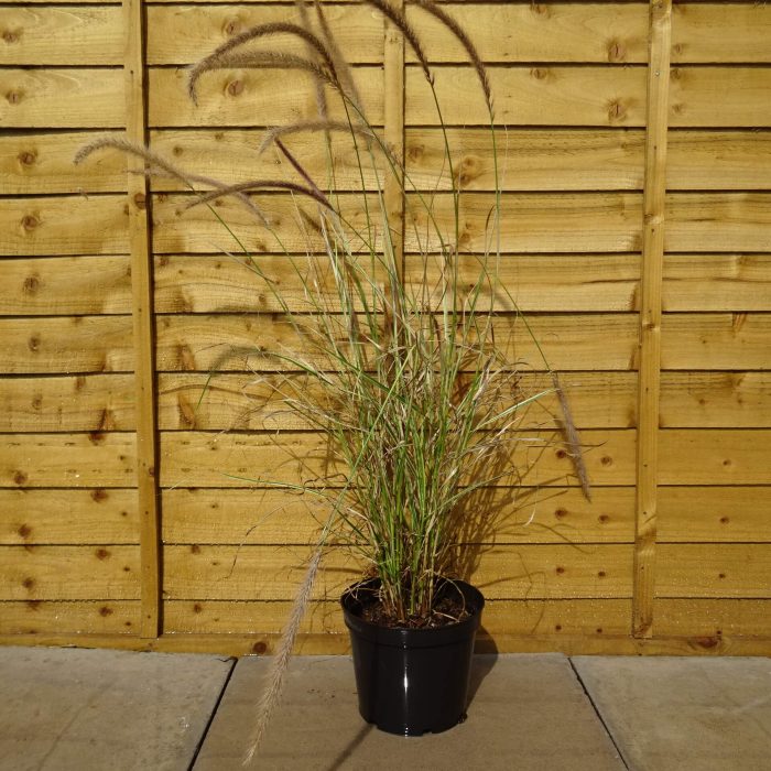 f08a682b-8dd9-4e95-9f2e-e7872148dbde