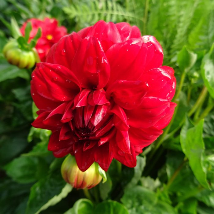 0da871e50aec522a9df29fe3bce92578.jpg 633eb4af-98b4-4e2b-8dac-006100f869e8