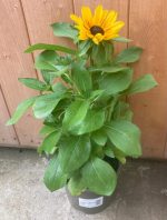 cb6adcb8-b33c-4a0a-81a5-7fb78ba2128c