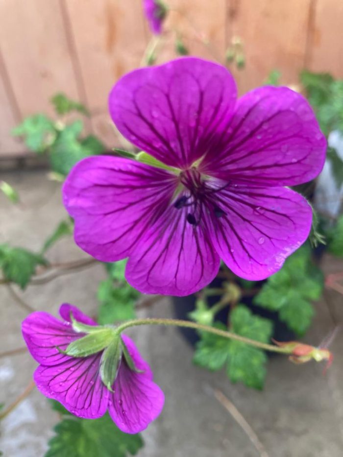 c7b7d683-bd38-4b61-aebd-f99c59c1cc0a