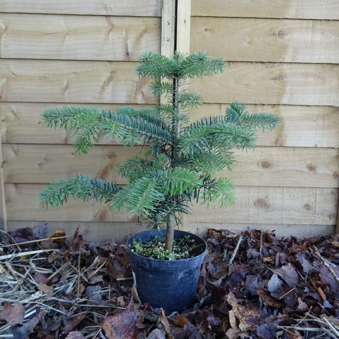 ad782577-e5f9-4d5b-895a-b76aa999badb