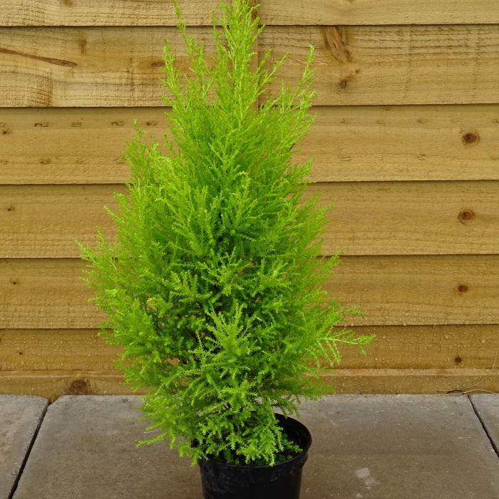 dfdf9feb-0ee8-4123-a9bb-0bfffcbca80c