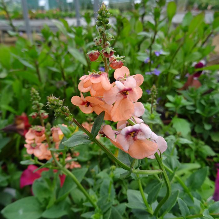 87a8826d-c93c-4399-94d5-b3eb749536f2