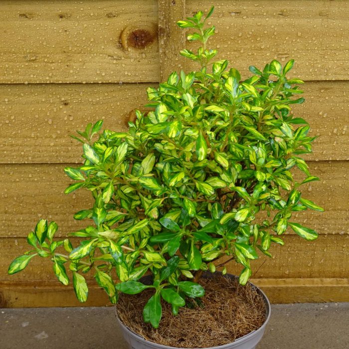 ab83b8c2-9032-4715-bea6-666e7572a9a5