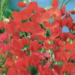 9665c4eb-54ad-4bc1-b263-b73f4a0e17e1